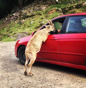 К чему ведут нас нестандартные ситуации в жизни